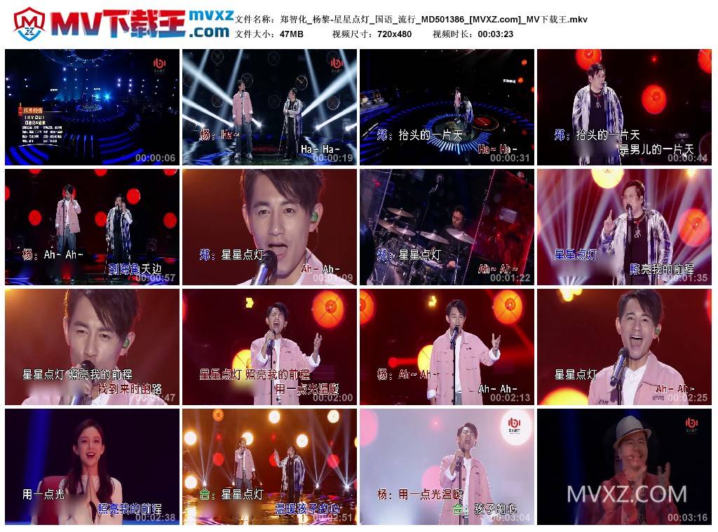 郑智化_杨黎-星星点灯_国语_流行_MD501386